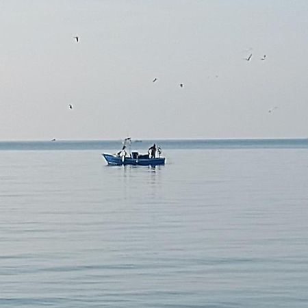 Galene - Beachfront In Costa D'Amalfi 马奥莱 外观 照片